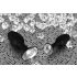 You2Toys - Diamond - silikone anal plug (lille)