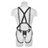 King Cock Strap-on 12 - Rem på med Harness Dildo (30cm)