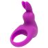 Happyrabbit Cock Kit - Vibrerende penisring med opbevaring (lilla)