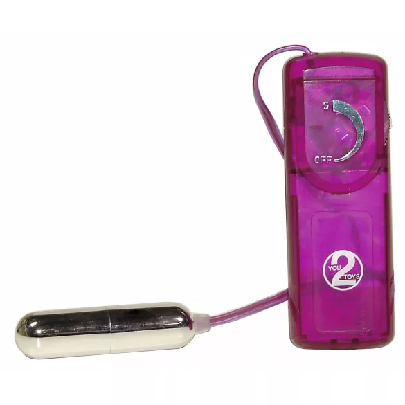 You2Toys - erotisk overraskelsessæt - vibrator sæt - 12 dele