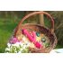 You2Toys Hammervibrator - Kanin-design