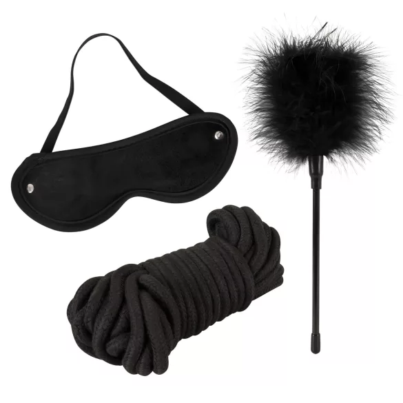 tease & please - Master & Slave - premium BDSM eventyrsæt til par (13 dele)