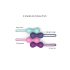 Love to Love Joia - silikone geishakugler duo (mynte)