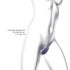 Love to Love Wonderlover - G-punkt & klitoris vibrator (lilla)
