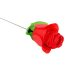 Rose Panty: Fræk blomstertanga i rød (S-L)