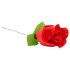 Rose Panty: Fræk blomstertanga i rød (S-L)