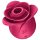Satisfyer Pro 2 Rose: Moderne lufttryks-klitorisvibrator (rød)