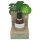 Coconutoil - Øko Efterbarberings- & Hårfjerningolie (50ml)