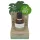 Coconutoil - aftershave olie - bio pleje - 50ml