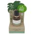 Coconutoil - Øko Efterbarberings- & Hårfjerningolie (50ml)