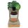 Coconutoil - Økologisk Bronzolje (80ml)