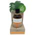 Coconutoil - Økologisk Bronzolje (80ml)