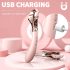 Sex HD - opladelig, vandtæt vibrator og pirrehjul (pink)