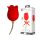 Pretty Love Rose Lover - 2i1 klitorisvibrator (rød)