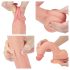 Lovetoy Naturcock - realistisk dildo med sugekop - 21cm (natur)
