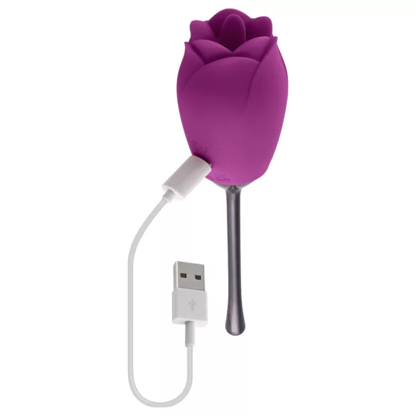Playboy - klitorisvibrator med tunge - genopladelig vandtæt - lilla