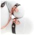 Bunny Bondage - Hvid BDSM Kanin