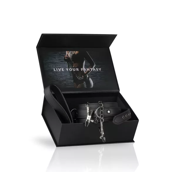 Easytoys - brystvorteklemmer og halsbånd sæt med line - 4 dele