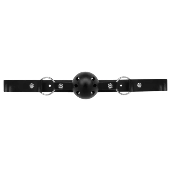 Secret Pleasure Chest - avanceret BDSM-sæt - 14 dele (sort)