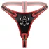 Easytoys - strap-on trusser med tredobbelt dildo - sort