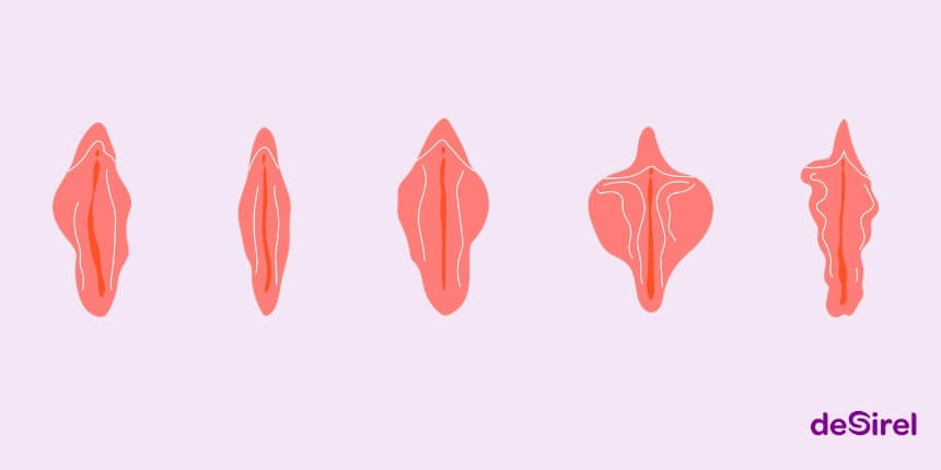 Vulva typer, former på kønslæber og kropsselvtillid | Desirel.dk Sexshop
